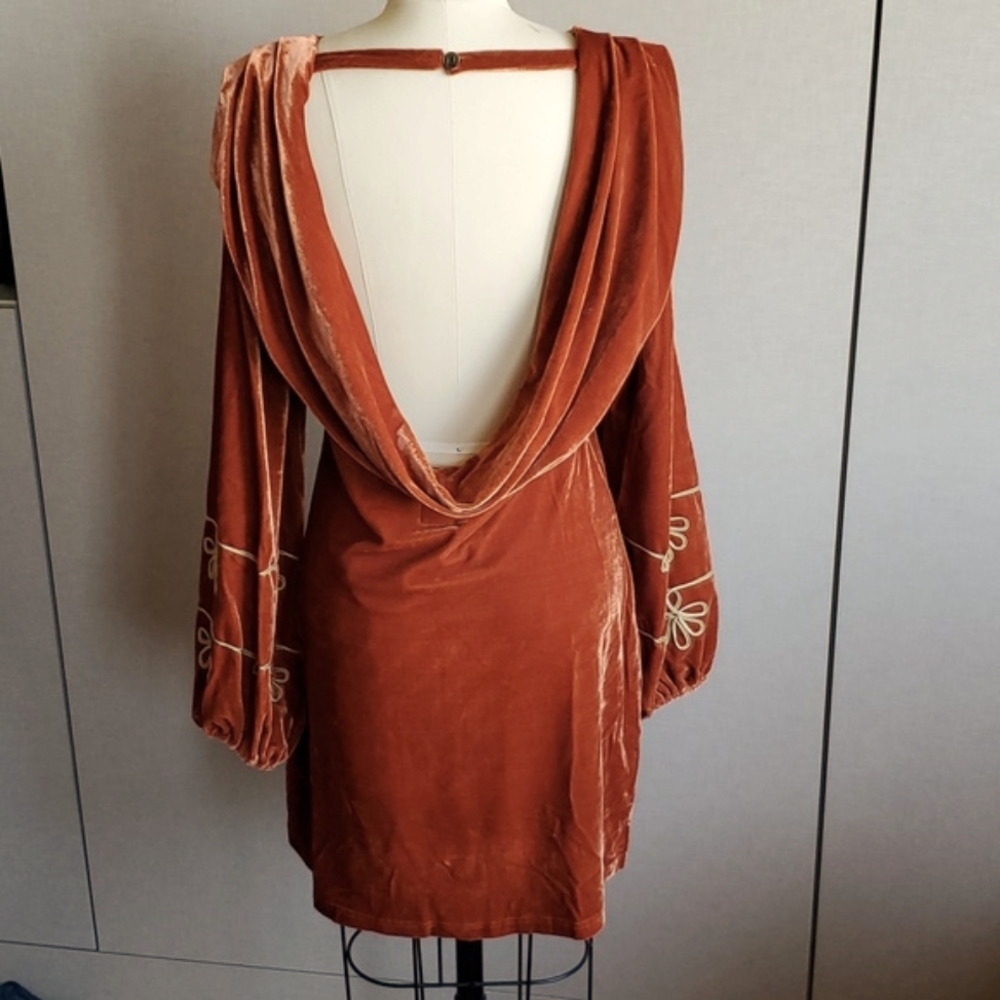 Incredible Nine Lives Bazaar Velvety Dress